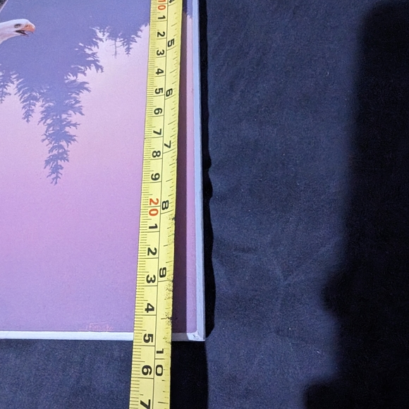 Jan Handcrafts Victoria BC Eagle wall plaque - Picture 2 of 10